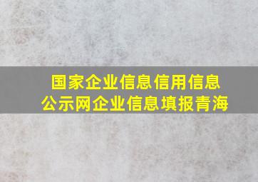 国家企业信息信用信息公示网企业信息填报青海