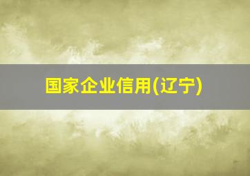 国家企业信用(辽宁)