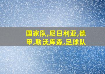 国家队,尼日利亚,德甲,勒沃库森,足球队