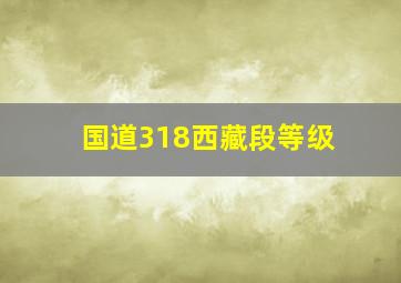 国道318西藏段等级