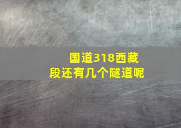 国道318西藏段还有几个隧道呢