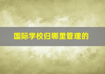 国际学校归哪里管理的