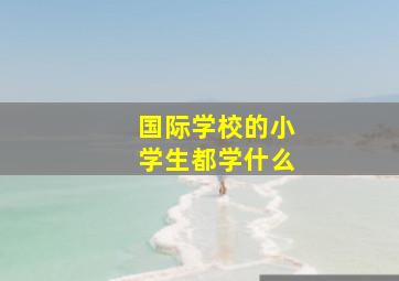 国际学校的小学生都学什么