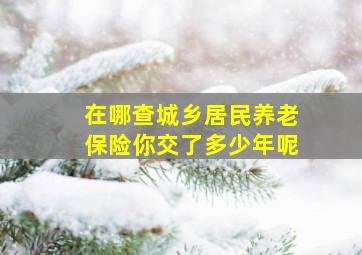 在哪查城乡居民养老保险你交了多少年呢