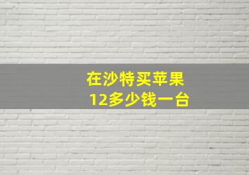 在沙特买苹果12多少钱一台