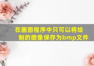 在画图程序中只可以将绘制的图像保存为bmp文件