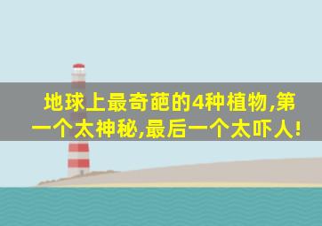 地球上最奇葩的4种植物,第一个太神秘,最后一个太吓人!