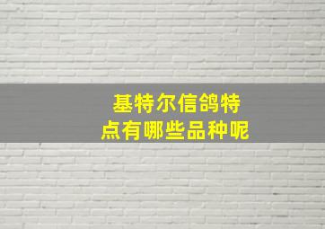 基特尔信鸽特点有哪些品种呢