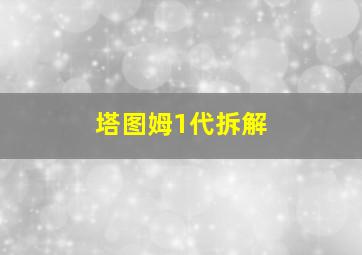 塔图姆1代拆解