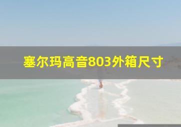 塞尔玛高音803外箱尺寸