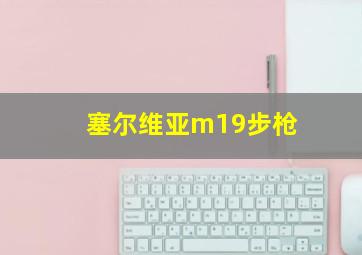 塞尔维亚m19步枪