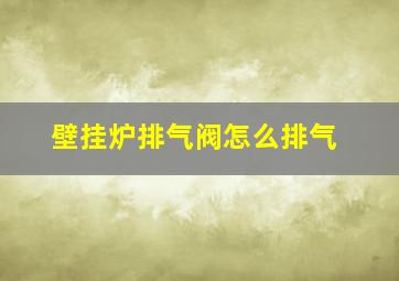 壁挂炉排气阀怎么排气