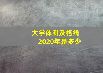 大学体测及格线2020年是多少