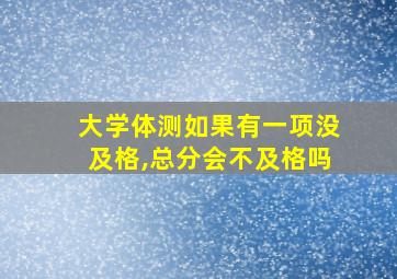 大学体测如果有一项没及格,总分会不及格吗