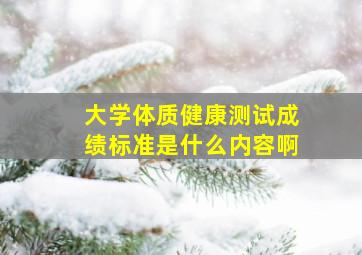 大学体质健康测试成绩标准是什么内容啊