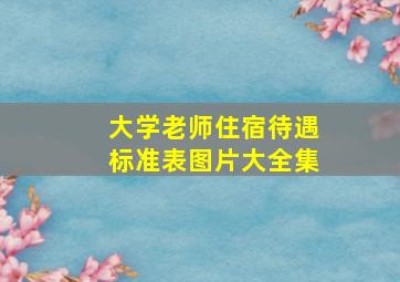 大学老师住宿待遇标准表图片大全集