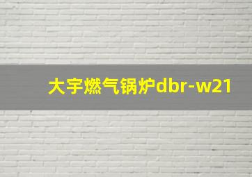 大宇燃气锅炉dbr-w21