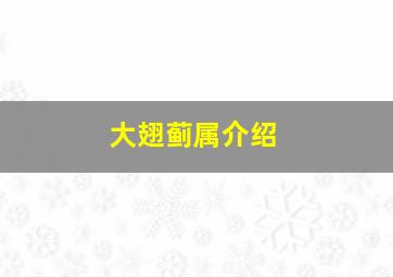 大翅蓟属介绍