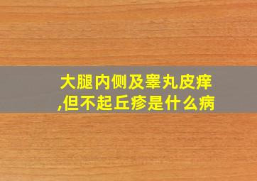 大腿内侧及睾丸皮痒,但不起丘疹是什么病