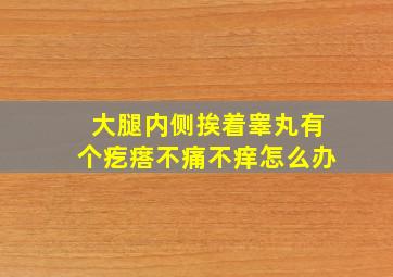 大腿内侧挨着睾丸有个疙瘩不痛不痒怎么办