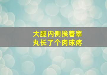 大腿内侧挨着睾丸长了个肉球疼