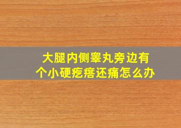 大腿内侧睾丸旁边有个小硬疙瘩还痛怎么办