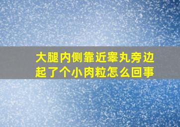 大腿内侧靠近睾丸旁边起了个小肉粒怎么回事