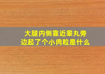 大腿内侧靠近睾丸旁边起了个小肉粒是什么