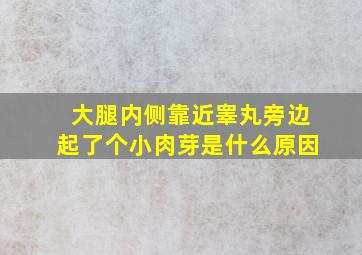 大腿内侧靠近睾丸旁边起了个小肉芽是什么原因