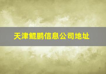 天津鲲鹏信息公司地址