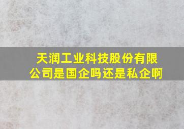 天润工业科技股份有限公司是国企吗还是私企啊