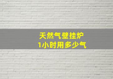 天然气壁挂炉1小时用多少气