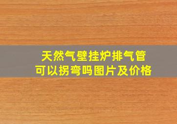 天然气壁挂炉排气管可以拐弯吗图片及价格