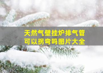 天然气壁挂炉排气管可以拐弯吗图片大全