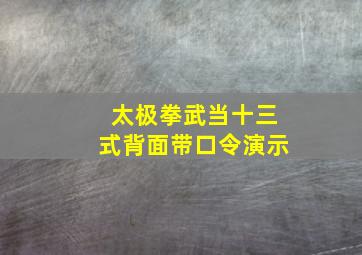 太极拳武当十三式背面带口令演示