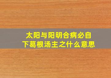 太阳与阳明合病必自下葛根汤主之什么意思