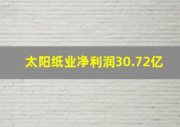 太阳纸业净利润30.72亿