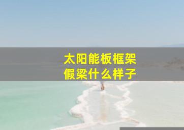 太阳能板框架假梁什么样子