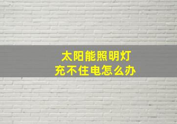 太阳能照明灯充不住电怎么办