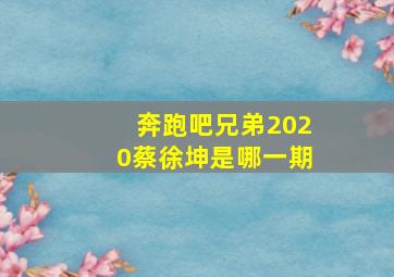 奔跑吧兄弟2020蔡徐坤是哪一期