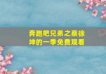 奔跑吧兄弟之蔡徐坤的一季免费观看