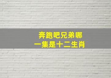 奔跑吧兄弟哪一集是十二生肖