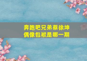 奔跑吧兄弟蔡徐坤偶像包袱是哪一期