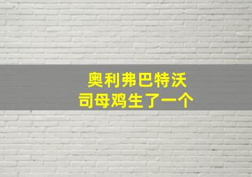 奥利弗巴特沃司母鸡生了一个