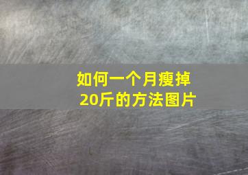 如何一个月瘦掉20斤的方法图片