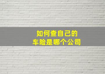 如何查自己的车险是哪个公司