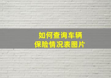 如何查询车辆保险情况表图片