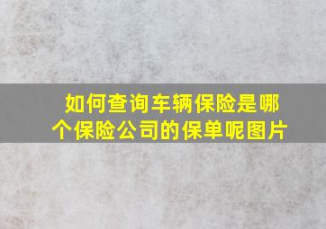 如何查询车辆保险是哪个保险公司的保单呢图片