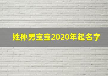 姓孙男宝宝2020年起名字