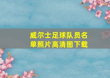 威尔士足球队员名单照片高清图下载